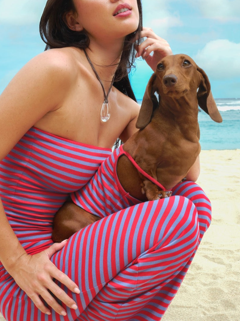 Theana Canine Tank